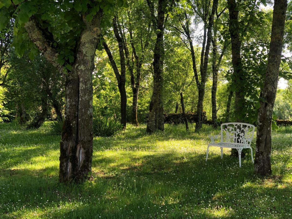 Domaine De Monplaisir Bed & Breakfast Caylus Luaran gambar